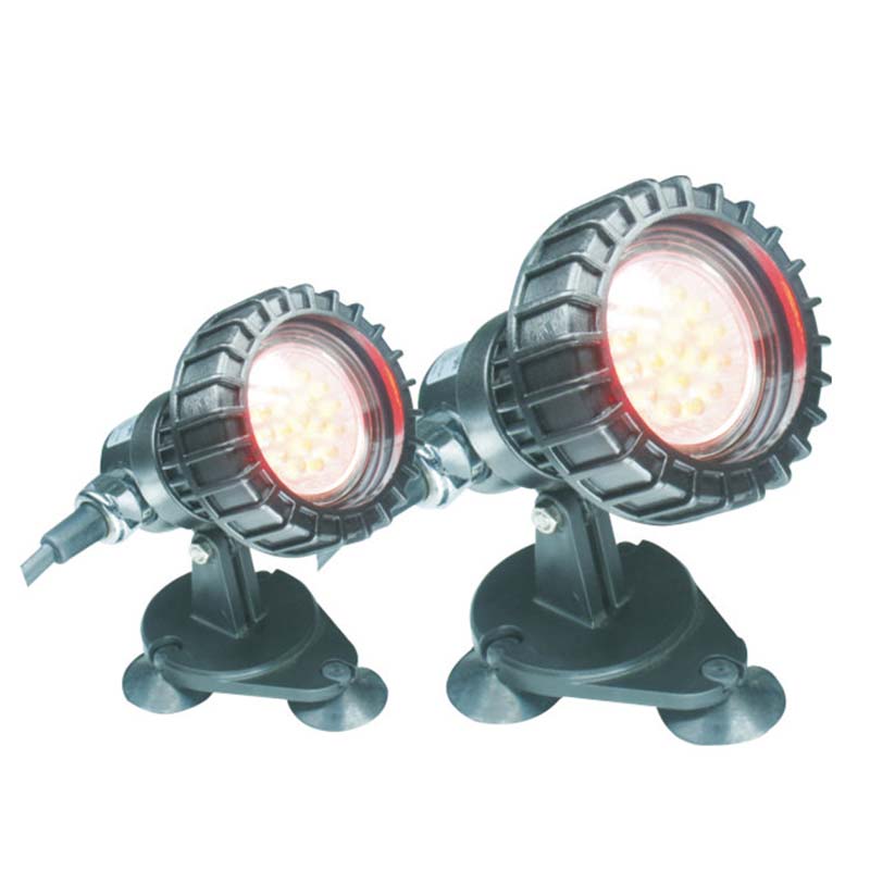 گراؤنڈ تالاب کے تحت سبمرسبل لائٹ کے نیچے مچھلی